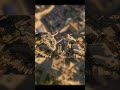 [FIVEM MAP] IMAGINE YOUR SERVER WITH THIS RENDERING