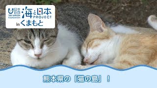 猫の島なんだニャー～上天草市湯島～ 日本財団 海と日本PROJECT in くまもと 2018 #12