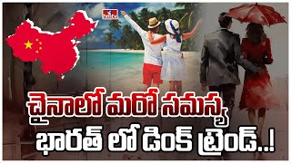 చైనాను వణికిస్తున్న కొత్త జాతి..భారత్ లో ట్రెండ్ అవుతుంది | DINK Couples Trend | hmtv | India360