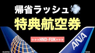 ANA国内線をUNITEDマイルで予約する【特典航空券】