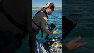 MCSO Memorial Day Weekend Safety PSA | Drive & Boat Safe
