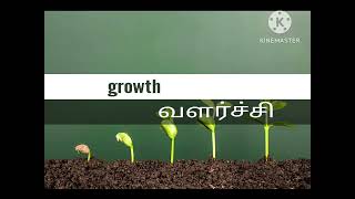 நாம் இன்னும் வளர்வோமா? 🌷             𝐖𝐨𝐫𝐝 𝐨𝐟 𝐠𝐨𝐝   𝐬𝐢𝐬. 𝐬𝐮𝐤𝐮𝐧𝐚