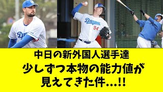 【中日】新外国人選手達の本物の能力値が見えてきた件！