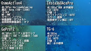 ダイバー向け水中カメラ4台比較「OsmoAction4」VS「GoPro12」VS「Insta360AcePro」VS「TG-6」（田子）