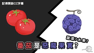 番茄是惡魔果實？ 是蔬菜還是水果?｜增廣見蚊