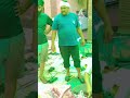 Eid UL adha Camel qurbani 2025 #balaghal #qurbani #2025 #Cemel#eiduladha @Adimehar213