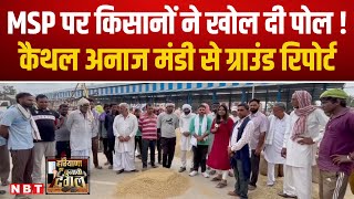 Kaithal Ground Report: MSP पर किसानों ने खोल दी पोल! कैथल अनाज मंडी से ग्राउंड रिपोर्ट | NBT