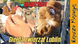 Giełda zwierząt Lublin 15.06.2024  #394 [4K]