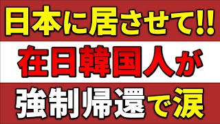 【海外の反応】「なぜ日本人の税金を使うんだ！」在日韓国人の生活保護不正受給が発覚！強制送還命令の衝撃的真相とは？