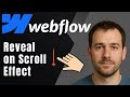 Webflow: How to Create Reveal on Scroll Animation (Smooth Scroll Interaction)