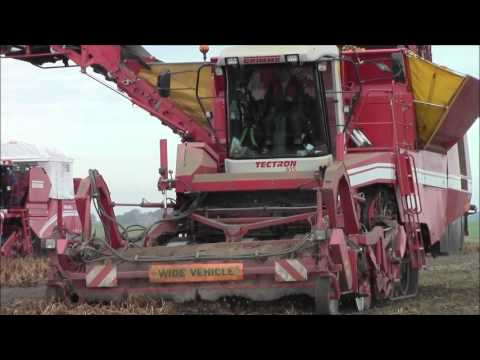 Potato Harvest With Grimme Tectron 415. 2013.wvm - YouTube