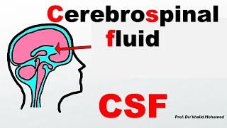 CSF (part 1). تحليل السائل الدماغي الشوكي