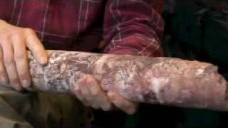 Core Sample - 60 Seconds of Science