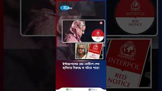 ইন্টারপোলের রেড নোটিশে শেখ হাসিনার বিরুদ্ধে যা ঘটতে পারে! #shortvideo