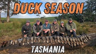 2025 Tasmania duck season (duck hunting Australia)
