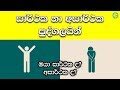 සාර්ථක හා අසාර්ථක පුද්ගලයින්ගේ වෙනස්කම් 10ක් | Shanethya TV