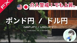 【ポンド円/ドル円】為替介入警戒！でも、ドル円は上昇。全体の環境認識をしながら本日のエントリーポイントを探す【2023/11/1】