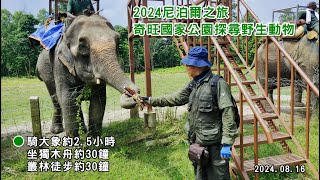 2024尼泊爾之旅_奇旺國家公園騎大象探尋野生動物