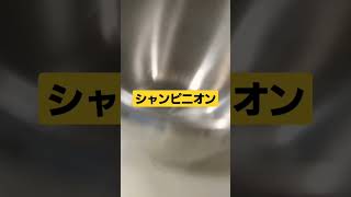 きんかん酵母元種で作るフランスパン