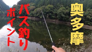 【おかっぱり】東京都 奥多摩湖（旧小河内小・中学校下）バス釣りポイント