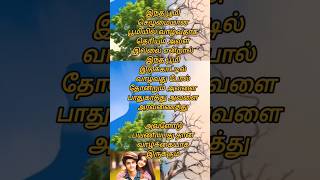 இந்த பூமி#trending #youtubeshorts #tamillanguage #reels #whatsappstatus #shortvideo