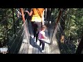 capilano suspension treetops adventure in vancouver bc canada canada vacation toddler traveler