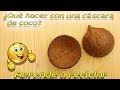 ♻️ ¿Que hacer con la cáscara de un coco? ♻️