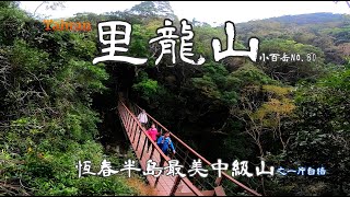 里龍山健行趣｜安心好行的五星級防護自然步道｜北登山口往返｜小百岳080【比爾先生】