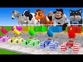 5 Giant Duck, Monkey, Piglet, chicken, dog, lion, cow, Sheep, Transfiguration funny animal 2024