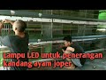 Pakai lampu LED untuk penerangan kandang ayam joper