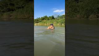 Vlog Jidan Ibrahim || Ajak Lisa Berenang Di Sungai. Part 675 #shortvideos #hewanlucu #animal