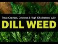 Surprising Dill Weed Benefits (treat cramps, Epilepsy, depress and high cholesterol Surprising Dill Weed Benefits (treat cramps, Epilepsy, depress and high cholesterol