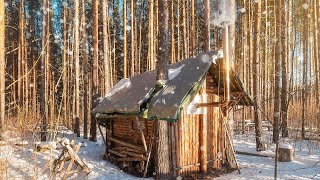 В ДАЛИ ОТ ЦИВИЛИЗАЦИИ. МОЯ ХИЖИНА В ЛЕСУ. ВНУТРИ ТЕПЛО И УЮТНО.