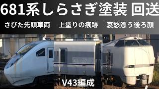 【さびた車体】681系V43編成しらさぎ塗装の野洲疎開回送 往年の特急車両 静かに移動中 20241113