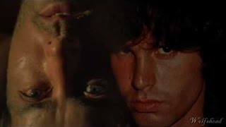 The End - Chris Felix ( The Doors - Apocalypse Now Soundtrack)