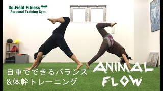 アニマルフロー ペアセッション【アニマルフローレッスンが受けられるパーソナルジム：Go.Field Fitness】