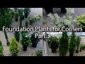 Lots of Foundation Plants for Corners - Part 3