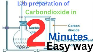 Lab preparation of Carbondioxide|Summery Of CO2 preparation#nepali