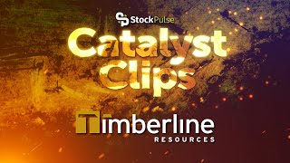 StockPulse Catalyst Clip: Company Spotlight on Timberline Resources