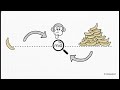 Master Binary Search for Coding Interviews | LeetCode Patterns, Bounds & Optimization Problems