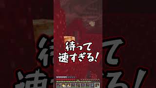 【マイクラ】ピグリンに襲われるゥ!(金装備済み)【ゆっくり実況】