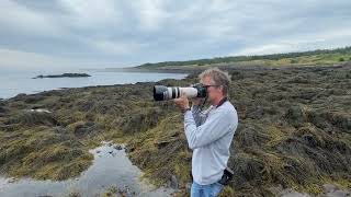 Seal Cove Brier Island