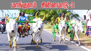 சின்னமாடு  மாங்குளம் பந்தையம் 04.08.2024