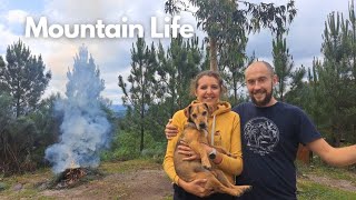 Living in the Mountains | Creating our Homestead