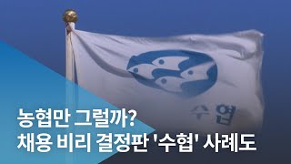 [탐사4]농협만 그럴까? 채용 비리 결정판 '수협' 사례도