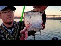 How To Target Blue and Flathead Catfish 101