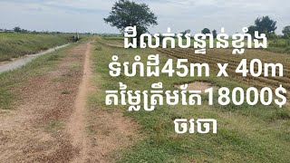 ដីលក់បន្ទាន់ខ្លាំង ដីជាប់ផ្លូវប្រឡាយមេធំ15m សងខាង ទំហំដី​46m x 40m​លក់បន្ទាន់តម្លៃត្រឹមតែ18000$ ចចារ