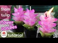 Siam Tulip Flower Candles | Pot Candle Making | Beautiful Flower Making With Candle