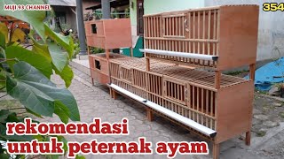 KANDANG AYAM DOC DAN PEMBESARAN USIA 1 HARI SAMPAI PANEN