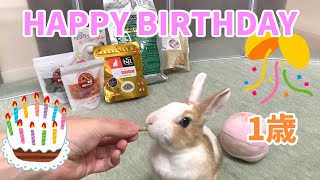 [1 year old rabbit] Happy birthday!